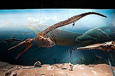 有消息称《王国之心4》将于明年2月公布26年发售