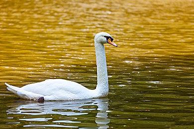 Xbox新手柄情报：可能会在8月8日发布