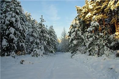据称《王国之泪》总监已有下一部《塞尔达》的计划